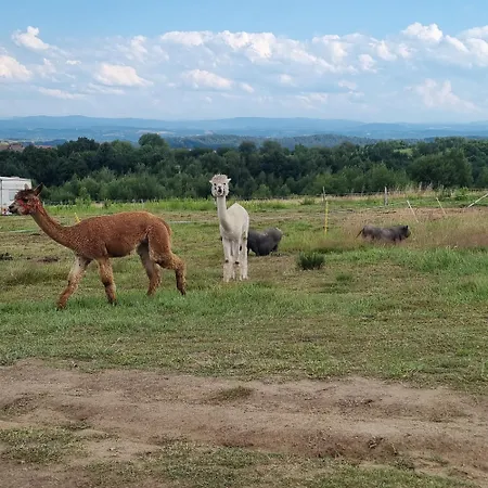 Uszate Ranczo Jagoda Luksustelt