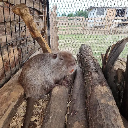 Luksustelt Uszate Ranczo Jagoda Rybna (Krakow)